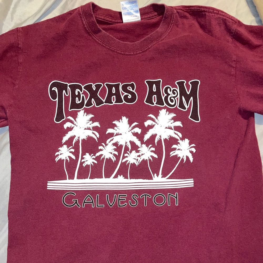 Texas A&M
